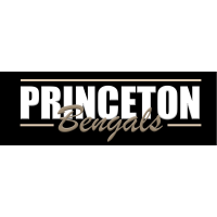 Princeton Bengals Logo