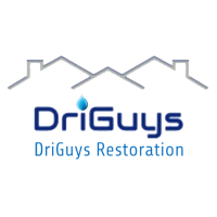 DriGuys Restoration LLC Logo