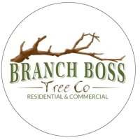 Branch Boss Tree Co. Logo