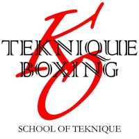 Teknique boxing Logo