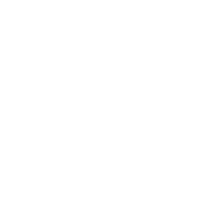 VENEZIA NAIL SPA PARK RIDGE Logo