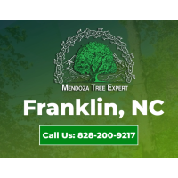 Mendoza Tree Expert Logo