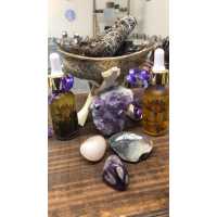 Lavender Lotus Reiki Center for Natural Healing Logo