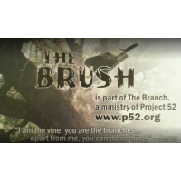 THE BRUSH LLC Logo