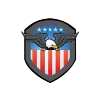 America Insurance Logo