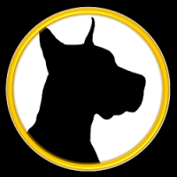 Traction Dog Training Club: Boulder, CO Logo