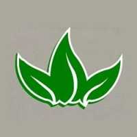 SMOKEYDOKE Vape Smoke Hemp & Cigars Logo