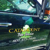 Catamount Tree Service Logo