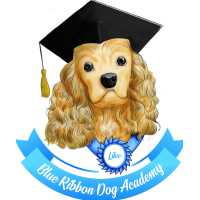 Blue Ribbon Dog Academy Logo