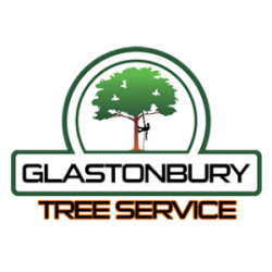 Glastonbury Tree Service