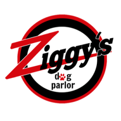 Ziggy's Dog Parlor