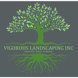 Vigorous Landscaping