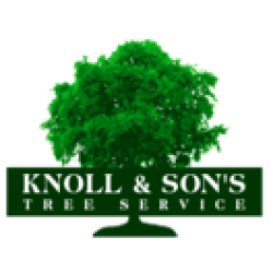 Knoll & Sons Tree Service