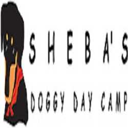 Sheba's Doggy Day Camp