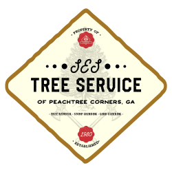 All In Tree Service of Peachtree Corners