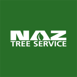Naz Tree Service
