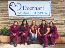 Everhart Animal Hospital