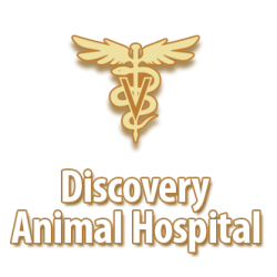 Discovery Animal Hospital