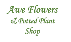 Awe Flowers & Potted Plant Shop