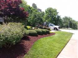 G & B Landscaping & Lawn Services Inc