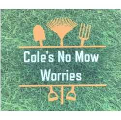 Cole's No Mow Worries Landscape