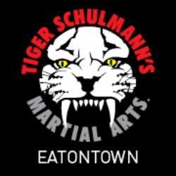 Tiger Schulmann's Martial Arts (Eatontown, NJ)