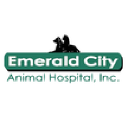Emerald City Animal Hospital