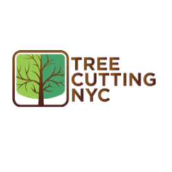 NYC Tree Cutting