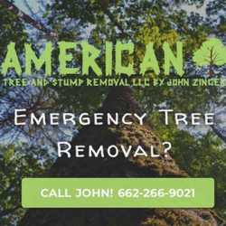 American Tree Service & Stump Removal