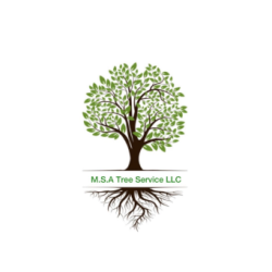 M.S.A Tree Service