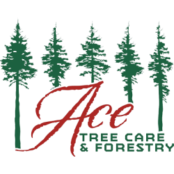 Ace Tree Care and Forestry