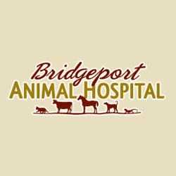 Bridgeport Animal Hospital PLLC