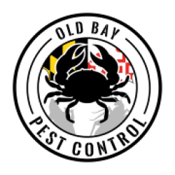 Old Bay Pest Control