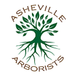 Asheville Arborists