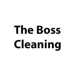 The Boss Cleaning