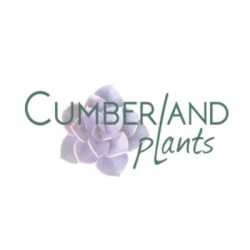 Cumberland Plants