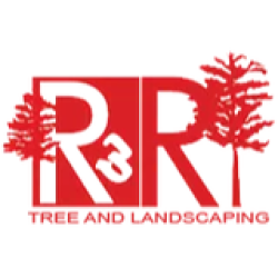 R & R Tree Service