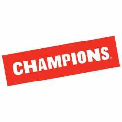 Champions at Ellsworth Elementary