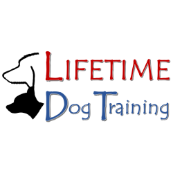 Lifetime Dog Training