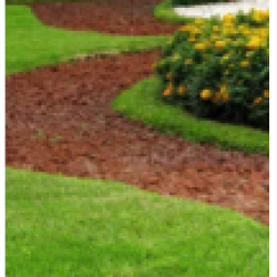 ZimCo Landscaping