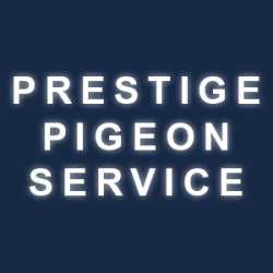 Prestige Pigeon Service