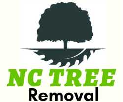 Carolina Tree Removal Pros of Asheville