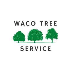 Waco Tree Service