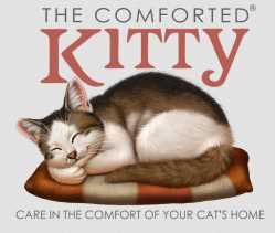 The Comforted Kitty - Sacramento