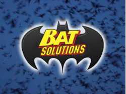 Texas Bat Solutions
