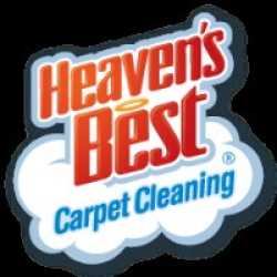 Steam Mobile Carpet Cleaning