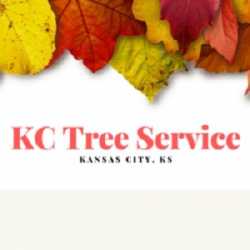 KC Tree Service Kansas City