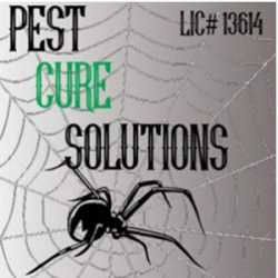 Pest Cure Solutions