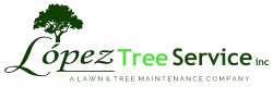 Lopez Tree Service Inc