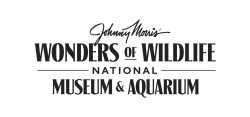 Wonders Of Wildlife National Museum & Aquarium